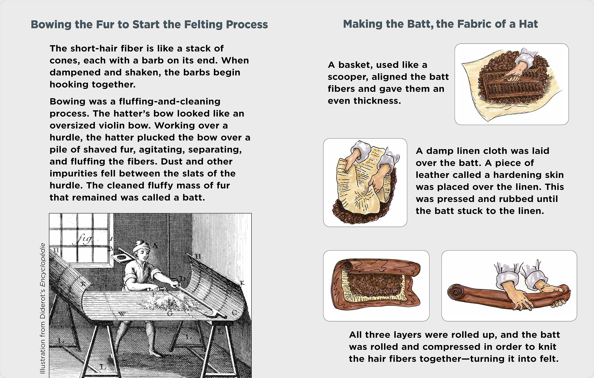 Bowing the Fur to Start the Felting Process Making the Batt, the Fabric of a Hat Illustration from Diderot’s Encyclopédie The short-hair fiber is like a stack of cones, each with a barb on its end. When dampened and shaken, the barbs begin hooking together. Bowing was a fluffing-and-cleaning process. The hatter’s bow looked like an oversized violin bow. Working over a hurdle, the hatter plucked the bow over a pile of shaved fur, agitating, separating, and fluffing the fibers. Dust and other impurities fell between the slats of the hurdle. The cleaned fluffy mass of fur that remained was called a batt. A basket, used like a scooper, aligned the batt fibers and gave them an even thickness. A damp linen cloth was laid over the batt. A piece of leather called a hardening skin was placed over the linen. This was pressed and rubbed until the batt stuck to the linen. All three layers were rolled up, and the batt was rolled and compressed in order to knit the hair fibers together—turning it into felt.